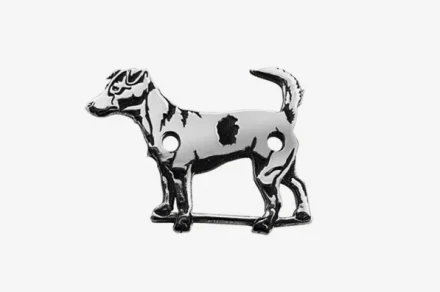 Jack Russel teriér 2