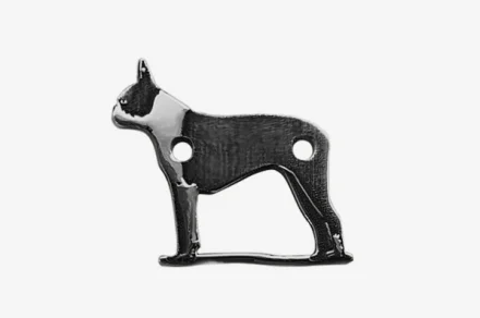 Bostonský teriér 2