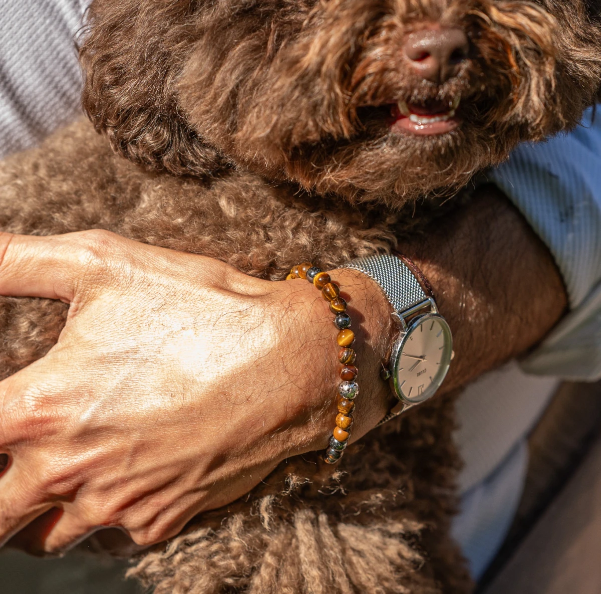 ZILIA Tiger's Eye Men 4 Stříbrný náramek